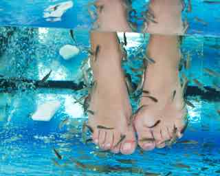 94% nível 35 imagem