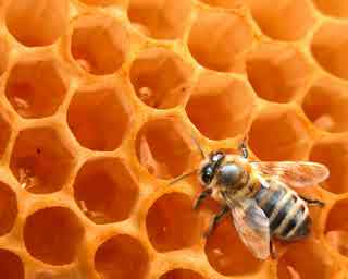 94% nível 29 imagem