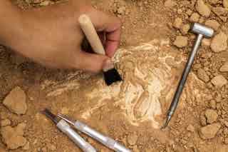 94% nível 240 imagem