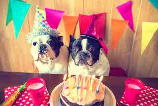 94% nível 242 imagem