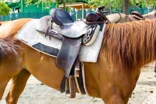 94% nível 341 imagem