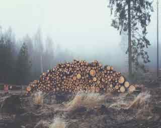 94% nível 48 imagem