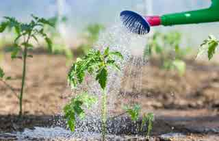 94% nível 209 imagem