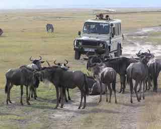 94% nível 55 imagem