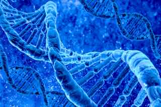 94% nível 99 imagem