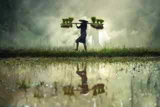 94% nível 324 imagem