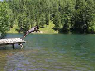 94% nível 149 imagem