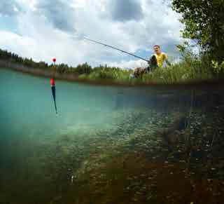 94% nível 88 imagem