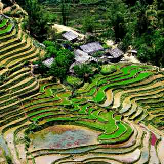 94% nível 87 imagem