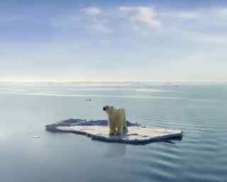 94% nível 30 imagem